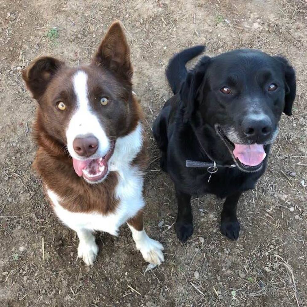 Meet your Posher, Barb